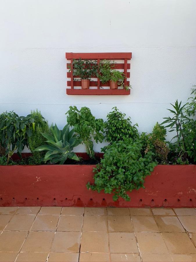 Atico La Ilusion Con Parking Apartment Sanlúcar de Barrameda Exterior foto
